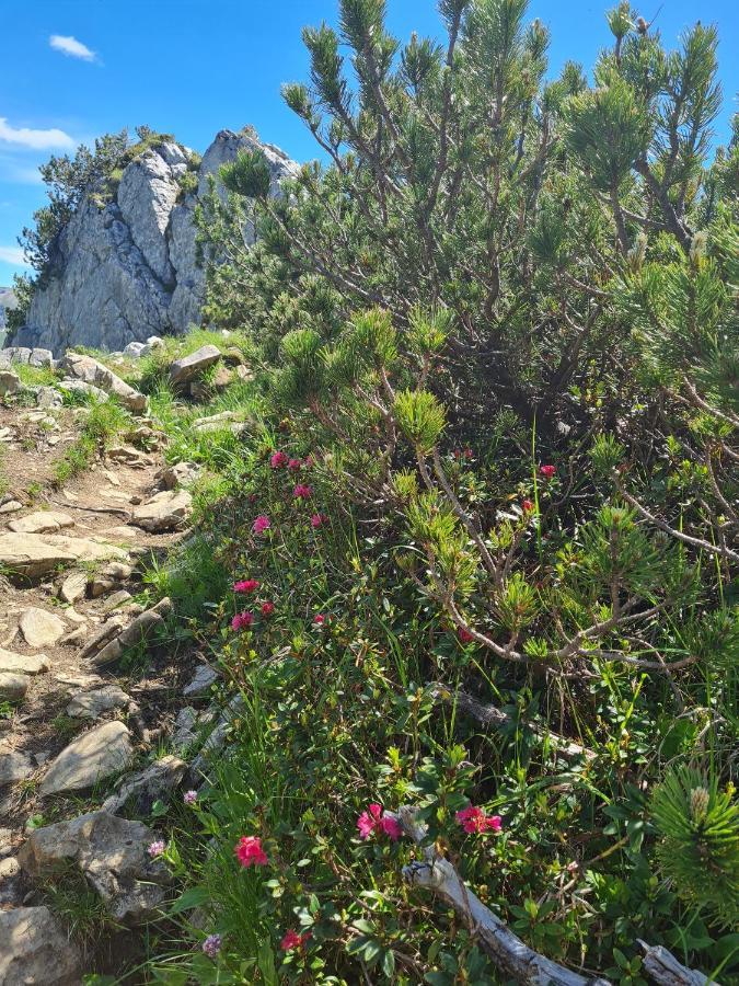 Johannas Alm Garmisch-Partenkirchen Bagian luar foto